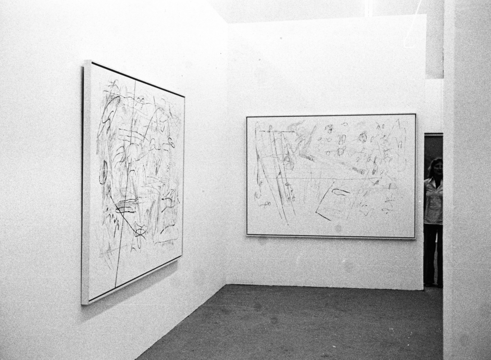 View of Nancy Graves, Kadsura&nbsp;and Straeo, installed at Documenta VI, in&nbsp;Kassel, Germany, June&nbsp;1977